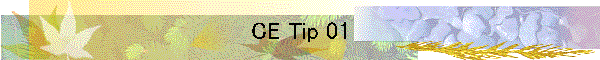 CE Tip 01