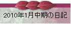 2010N1̓L