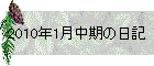 2010N1̓L