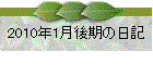 2010N1̓L