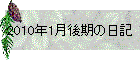 2010N1̓L