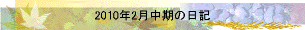 2010N2̓L