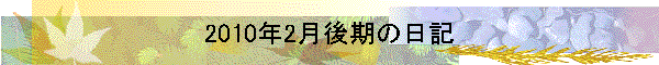 2010N2̓L