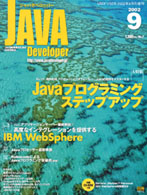 JAVA Developer