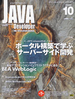 JAVA Developer