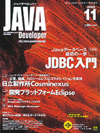 JAVA Developer