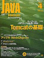 JAVA Developer