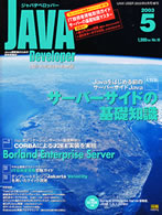 JAVA Developer