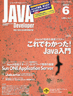 JAVA Developer