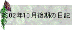 2002N10̓L