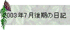 2003N7̓L