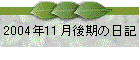 2004N11̓L