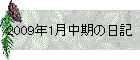 2009N1̓L