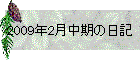 2009N2̓L