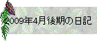 2009N4̓L