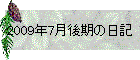 2009N7̓L