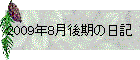 2009N8̓L