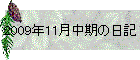 2009N11̓L