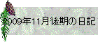 2009N11̓L