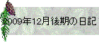 2009N12̓L